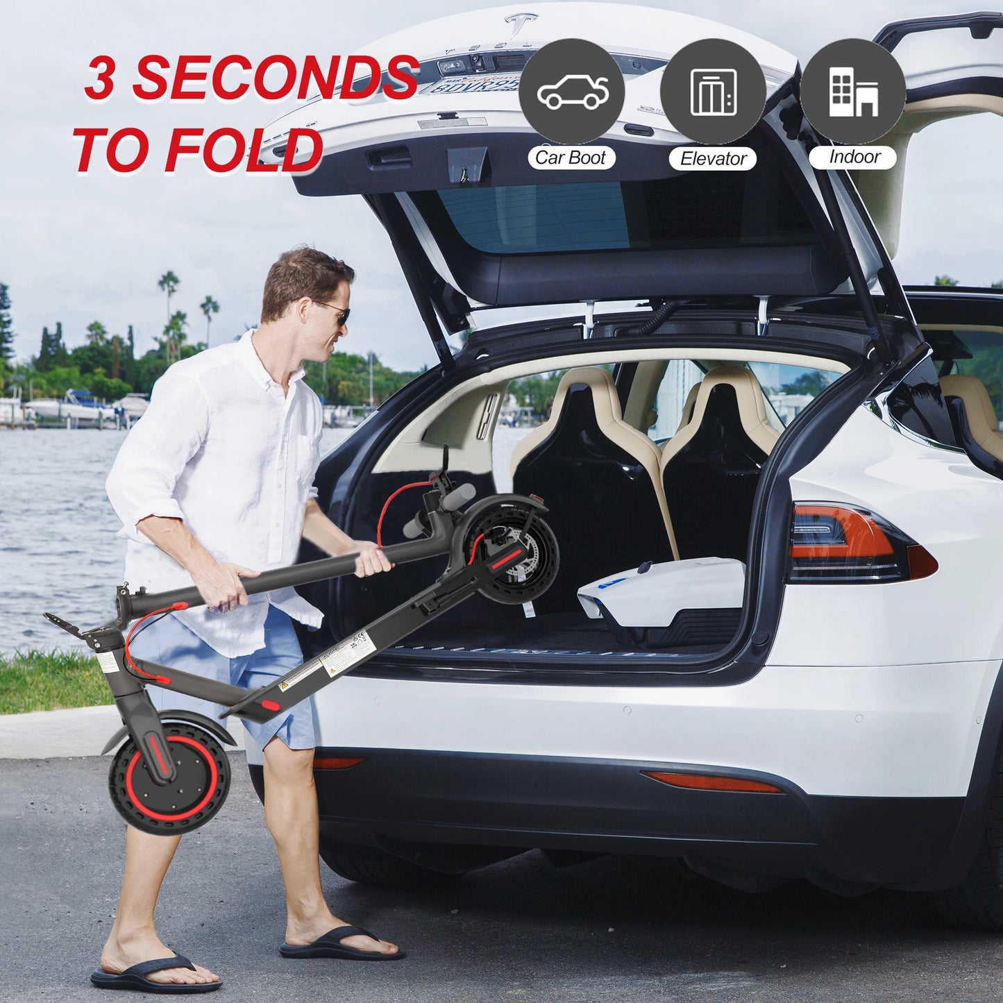 Foldable Electric Scooter with LED Lighting and Solid Tires